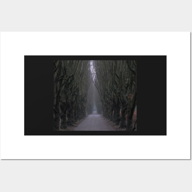 Gloomy path Wall Art by Trine